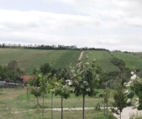 Banorët e Dumnicës presin prej vitesh projektin e ujësjellësit