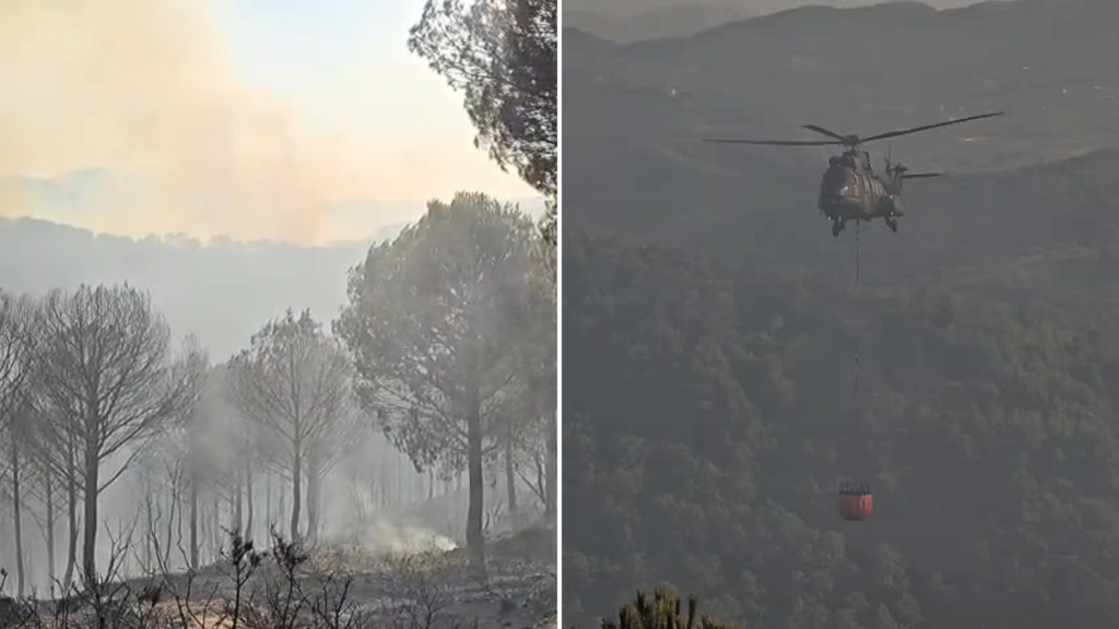Situatë kritike me zjarret në disa fshatra të Shqipërisë, kërkohet ndihmë nga ajri 
