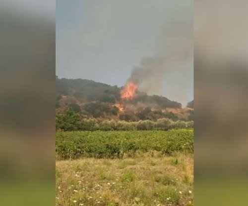Zjarri rrezikon banesat në Mallakastër, evakuohen disa familje