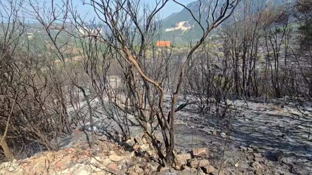 Zjarret në Shqipëri, Ministria e Mbrojtjes: Disa vatra ende aktive, mbi 200 forca në terren