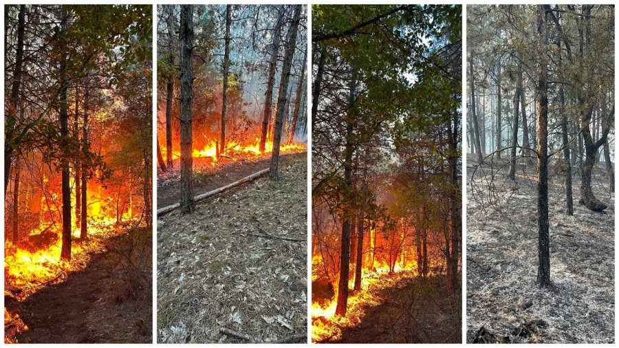 Zjarr i madh në Breznicë të Bujanocit, raportohet se janë evakuuar rreth 700 banorë