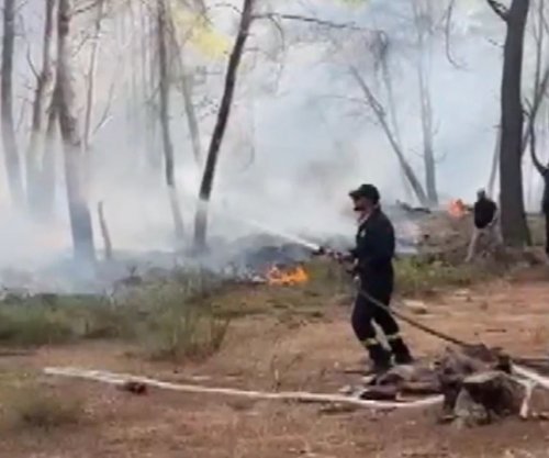 Zjarret dogjën 1.225 hektarë pyje, Vlora më e dëmtuara