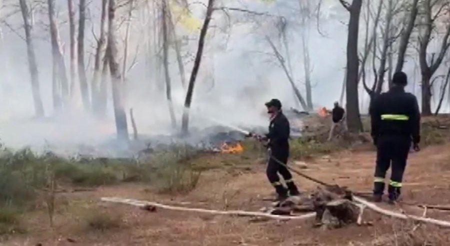 Zjarret dogjën 1.225 hektarë pyje, Vlora më e dëmtuara