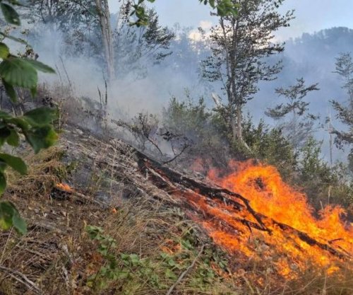 Tetë vatra aktive zjarri, vijojnë përpjekjet për izolimin e flakëve në Shqipëri