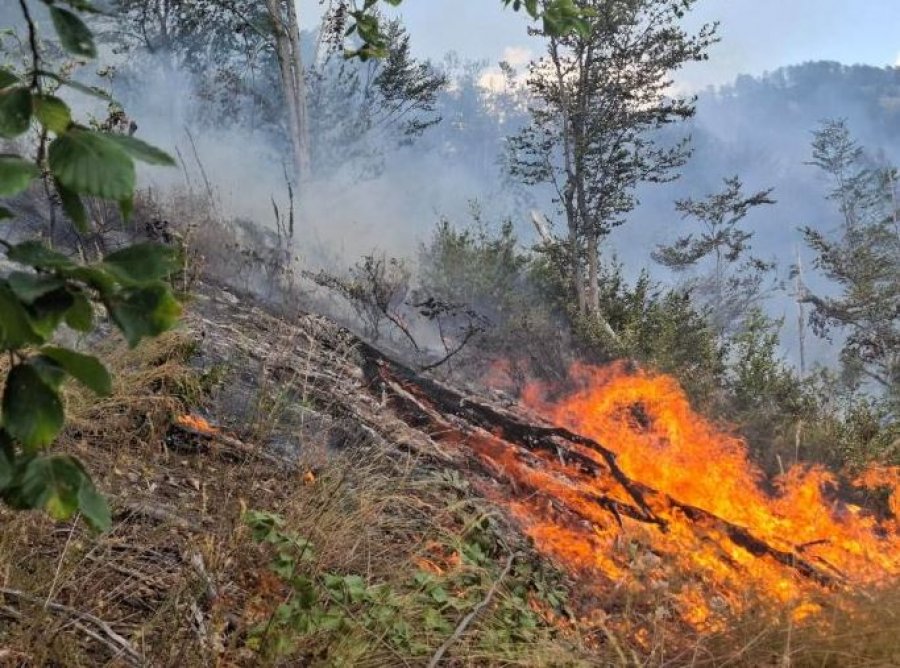 Tetë vatra aktive zjarri, vijojnë përpjekjet për izolimin e flakëve në Shqipëri