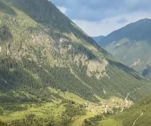 Bjeshkët e Deçanit po zbrazen, lëndinat po mbulohen nga molikat