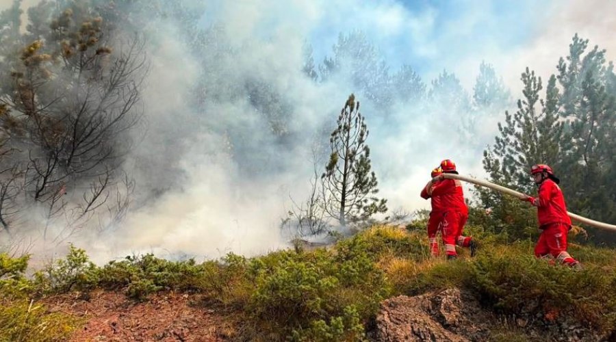 11 vatra zjarri aktive në Shqipëri, angazhohen helikopterë e avionë për shuarjen e flakëve