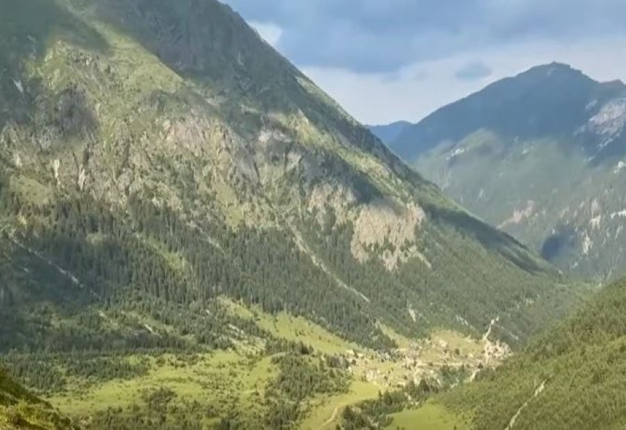 Bjeshkët e Deçanit po zbrazen, lëndinat po mbulohen nga molikat