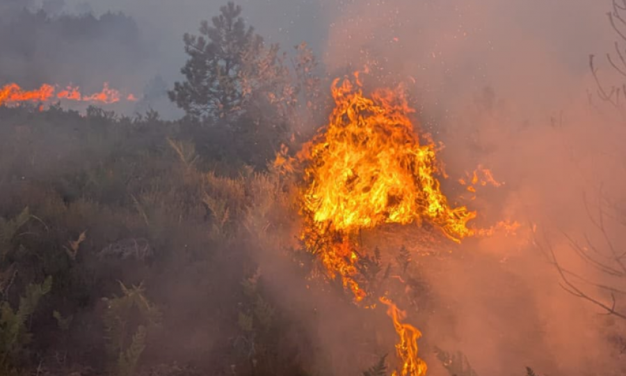 Përmirësohet situata, katër vatra aktive të zjarrit në Shqipëri