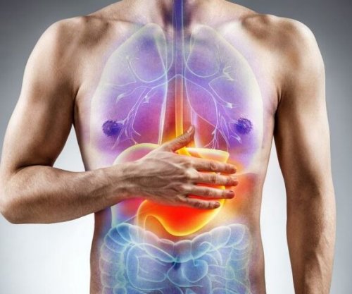 Inflamacioni kronik mund të frenohet përmes një mekanizmi natyral të organizmit