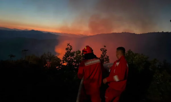 Vazhdojnë zjarret në Lezhë dhe Mirditë, situata më problematike në fshatin Tenë, vatra aktive edhe në malin e Kashnjetit