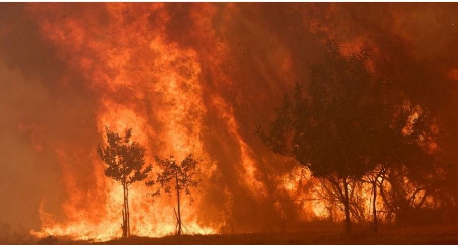 Zjarri në Spanjë: Urdhër evakuimi në Valencia, flakët pranë banesave