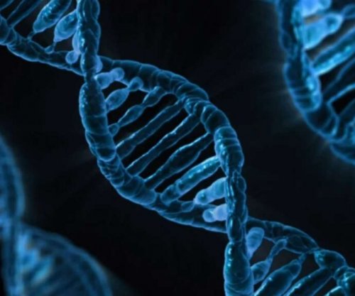 Shkencëtarët zbulojnë një qasje të re, që mund të fuqizojë terapitë me mRNA