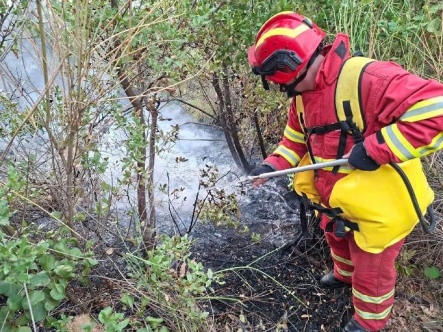 Përmirësohet situata me zjarret në Shqipëri