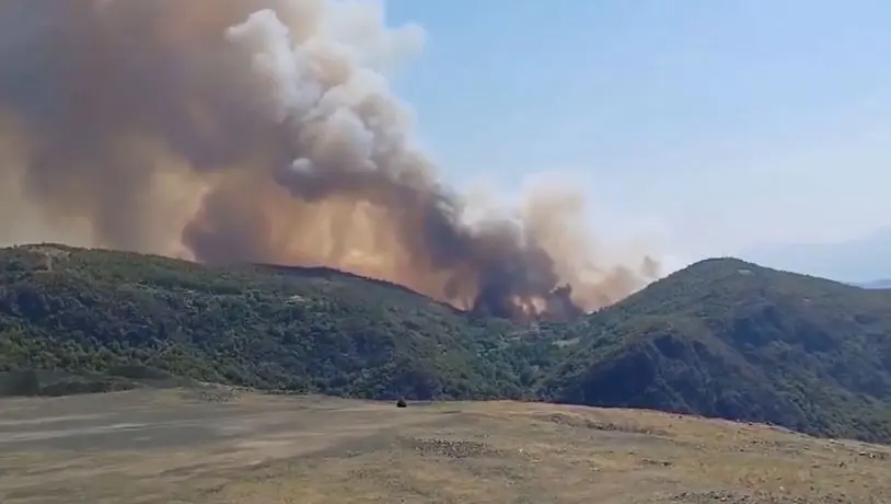 34 zjarre në Shqipëri brenda 24 orëve, 5 vatra ende aktive
