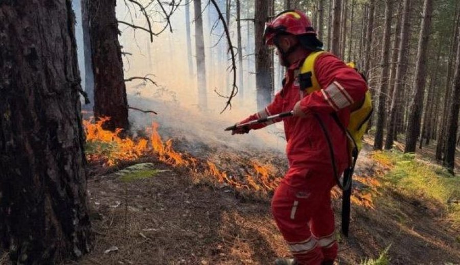  Zjarret në Shqipëri, 11 vatra aktive, mbi 1100 forca në terren