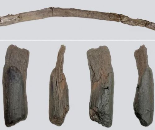 Greqi: Arkeologët gjejnë veglat më të vjetra në botë prej druri