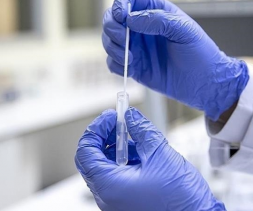 Koreja e Jugut konfirmon rastin e tetë të murtajës afrikane të derrave