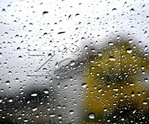 Parashikimi i motit për të martën