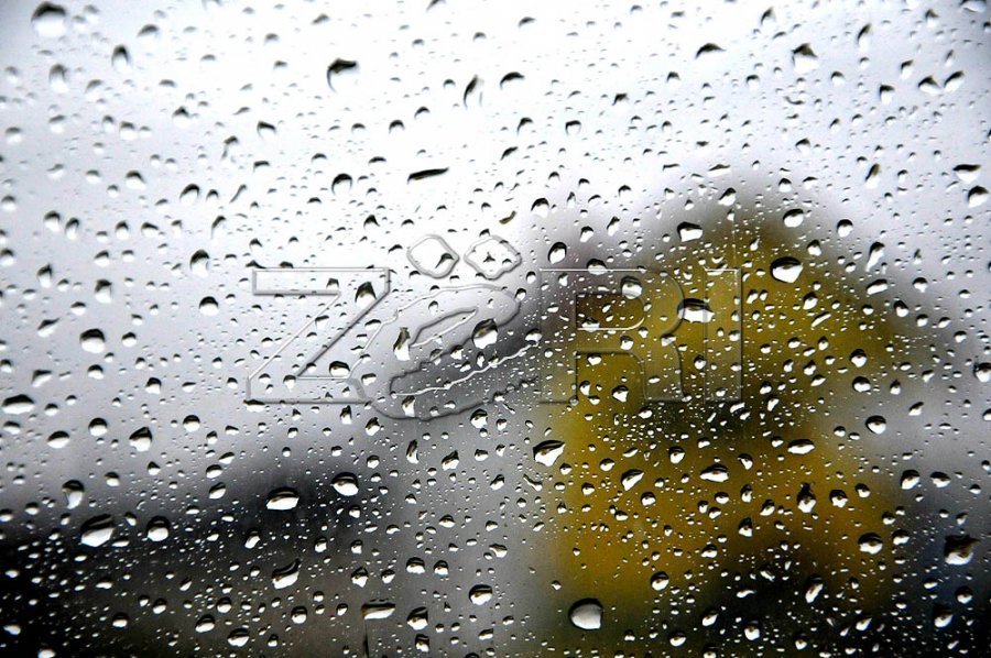 Moti për ditën e sotme