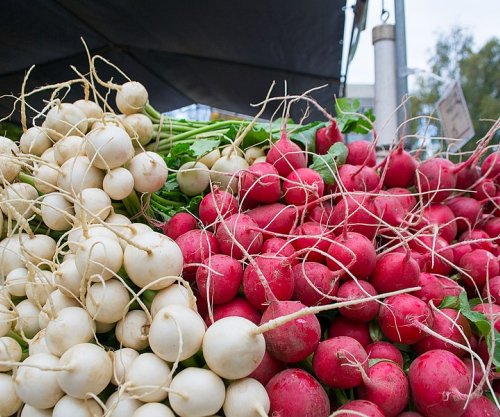 Rrepa e bardhë i jep fuqi trurit