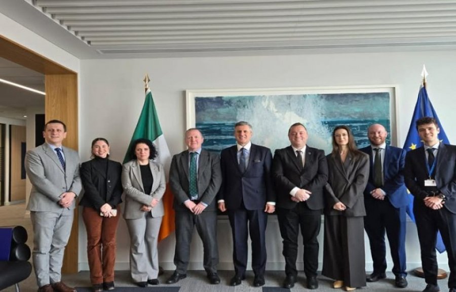 Kosova dhe Irlanda thellojnë bashkëpunimin para Presidencës irlandeze të BE-së