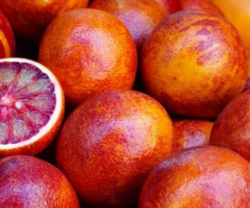 Si të përmirësoni kujtesën me ushqime – lista që ju duhet