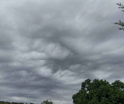 Parashikimi i motit për dy javët e para të janarit