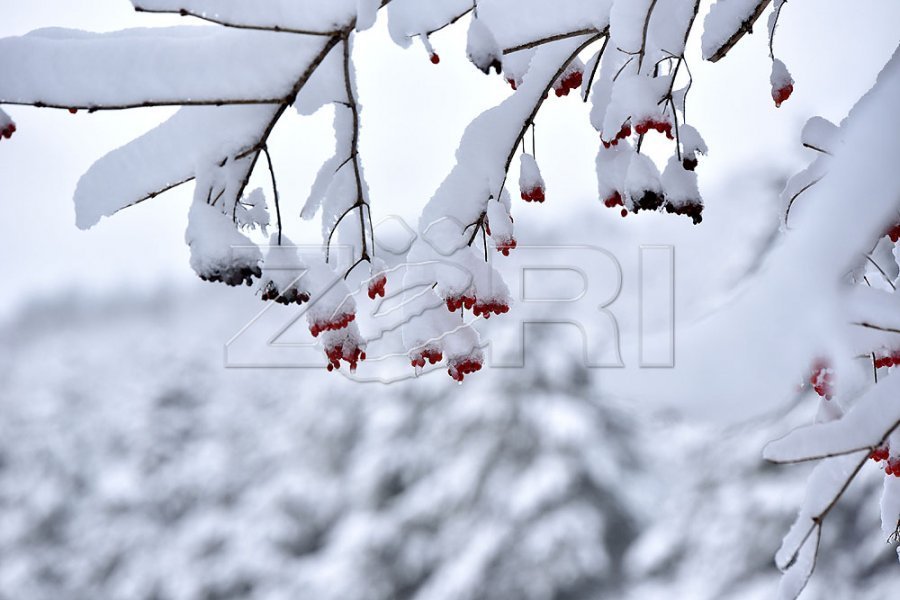 11 janari me temperaturat më të ulëta, ditët në vijim pritet rritje e tyre