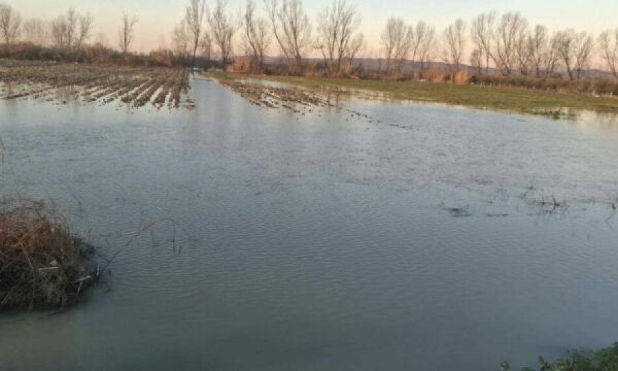 Shkarkimet nga digat, kanalet të bllokuara - rritet sipërfaqja e serrave të përmbytura në Shqipëri