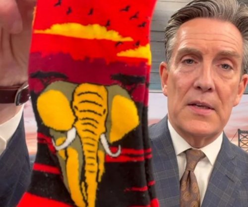 Prezantuesi hyn në Guinness për koleksionin më të madh të çorapeve unike [video]