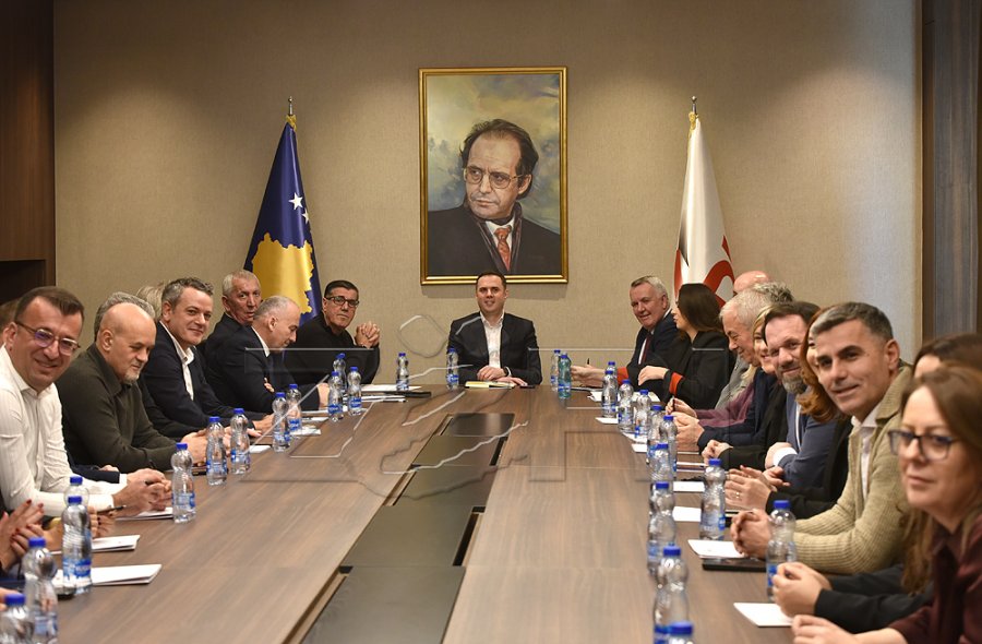 Nis mbledhja e Kryesisë së LDK-së