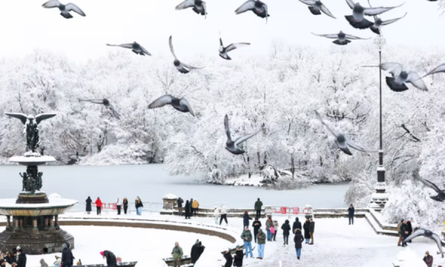 Disa shtete amerikane shpallin gjendje emergjente për shkak të stuhisë dimërore