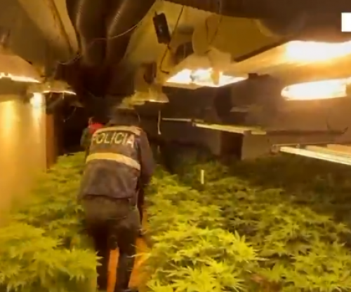 Zbulohet “shtëpia e barit” në Malësi të Madhe, arrestohet 35-vjeçari