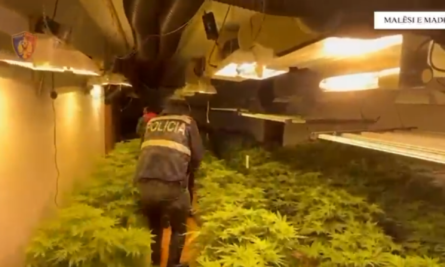 Zbulohet “shtëpia e barit” në Malësi të Madhe, arrestohet 35-vjeçari