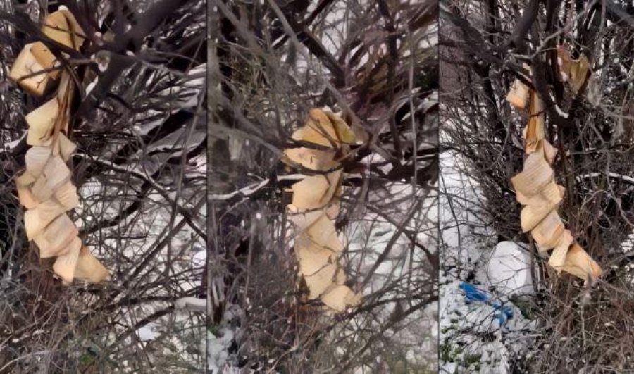 Policia në Gjakovë nis hetimet për dëmtimin e Kuranit