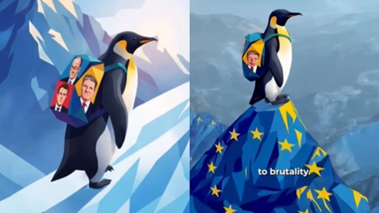 Gjermania publikon një video me Al për të dërguar mesazh shprese në Evropë