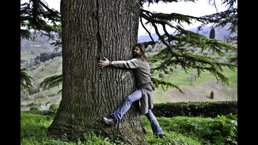 Të përqafosh një pemë, përfitimet e habitshme pas këtij gjesti