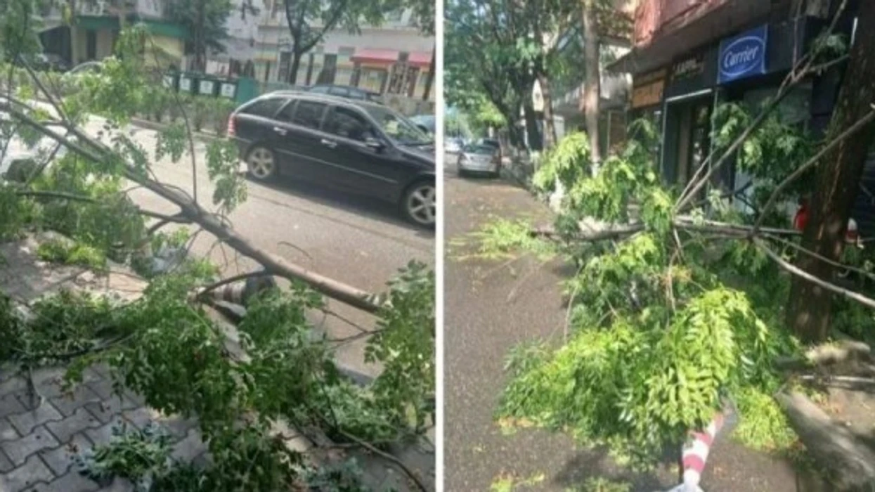 Në Elbasan stuhi me erë e shi, thyhen pemë e dëmtohen shtylla tensioni
