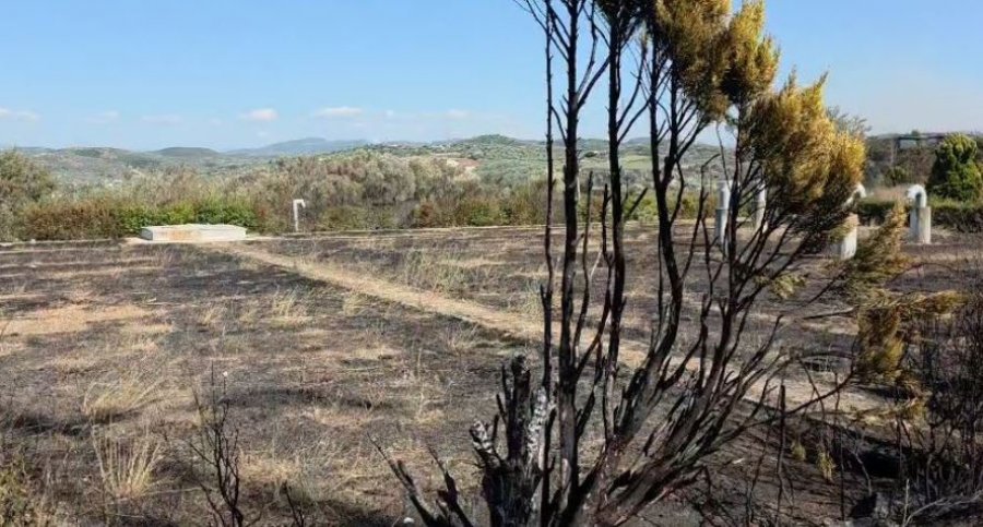 Shuhet vatra e zjarrit në Peshtan të Fierit