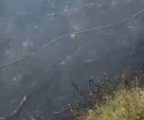Zjarr në Vlorë - flakët përfshijnë sipërfaqe me shkurre dhe bimë, dyshohet se ishte i qëllimshëm