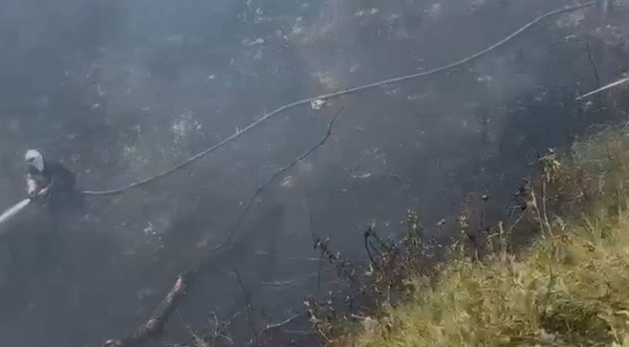Zjarr në Vlorë - flakët përfshijnë sipërfaqe me shkurre dhe bimë, dyshohet se ishte i qëllimshëm