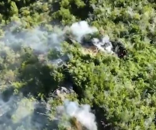 Arrestohet 31-vjeçari në Krujë, asgjësohen dhjetëra bimë narkotike