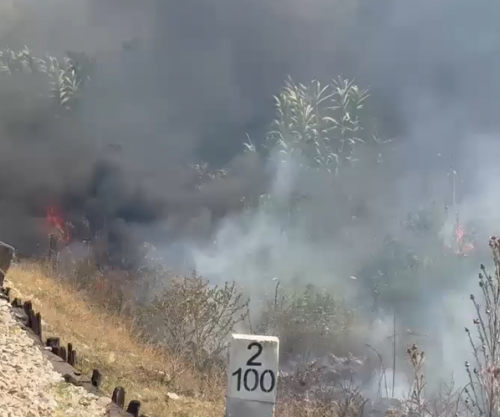 Izolohet zjarri në Novoselë të Shqipërisë, shmanget rreziku për banesat