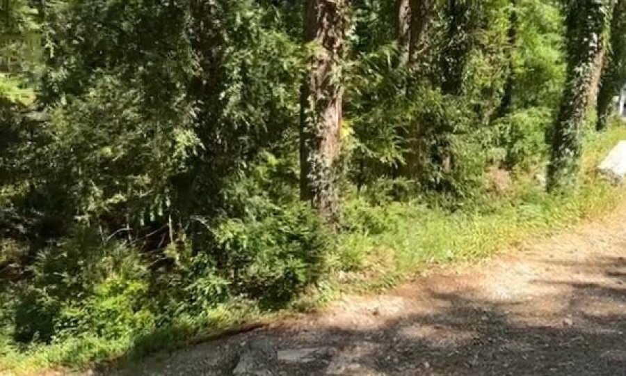 Dy turistë gjermanë lëshojnë alarmin SOS pasi mbetën të bllokuar në mal, efektivët e Vlorës nisen drejt vendndodhjes së tyre
