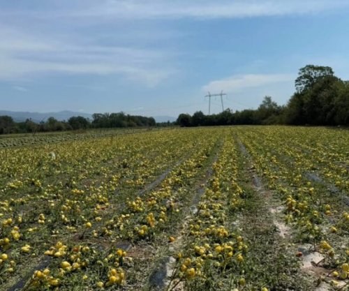 Lidhja e Bizneseve të Kosovës kërkon reagim urgjent për dëmet e shkaktuara në bujqësi nga breshëri