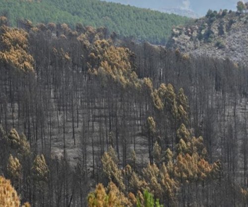 Zjarri në Spanjë përfshin 32 mijë hektarë pyje, evakuohen 34 fshatra