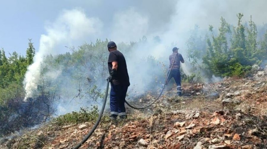 Evropa në alarm nga i nxehti, zjarret masive kaplojnë Francën, Spanjën dhe Italinë