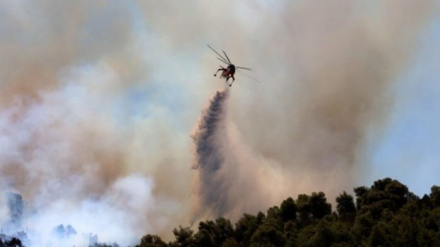 Greqia në betejë me 73 vatra zjarri, era e fortë vështirëson ndërhyrjen