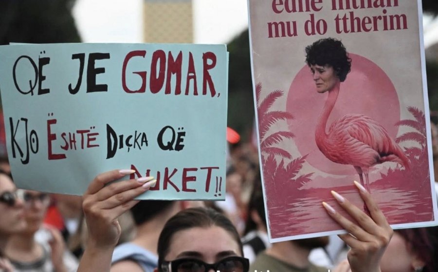 Protestat për Zvërnecin, Rama: Më argëtojnë memet e revolucionit imagjinar të flamingove